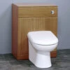 Essential Gem 535 X 766mm Calvados Back-To-Wall WC Unit -Burlington Shop QS V43870 3 mn